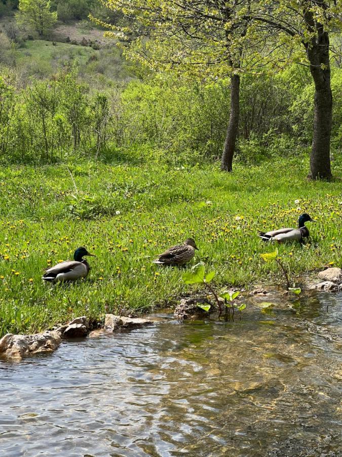 Rustic Inn River 2 Plitvička Jezera Exteriör bild